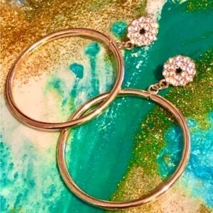 Elegant Gold Hoop Earrings